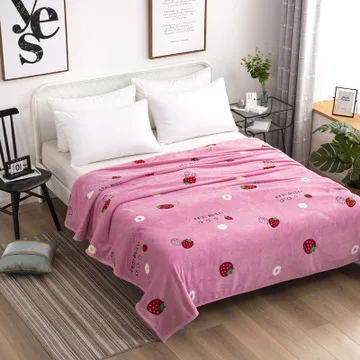 Thick flannel clond ermine blanket student dormitory blanket wholesale single and double bedspread