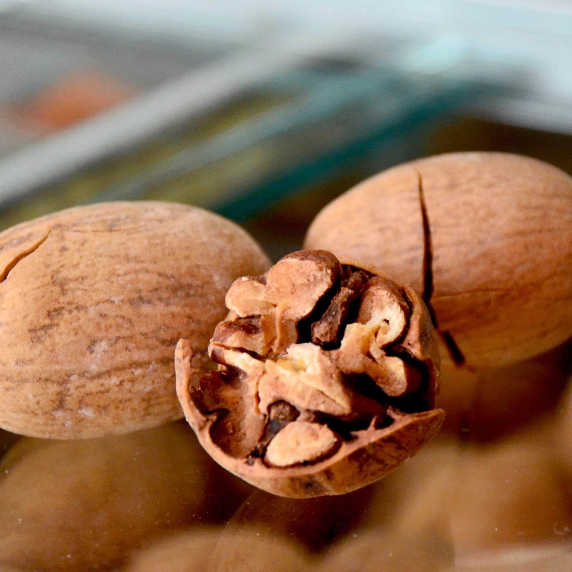 
roasted pecan with milk flavor 