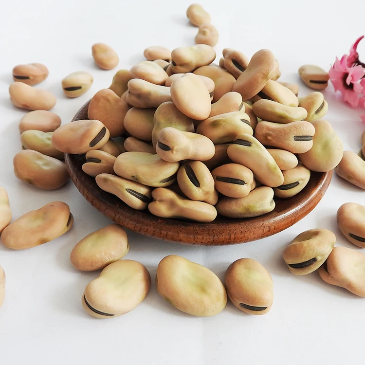 Chinese Broad beans in shell frying cooking