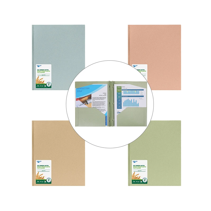 Hot Selling Plastic Portfolio Presentation Folders Three-Hole Metal Prongs Fasteners Letter Size Pocket File Folder