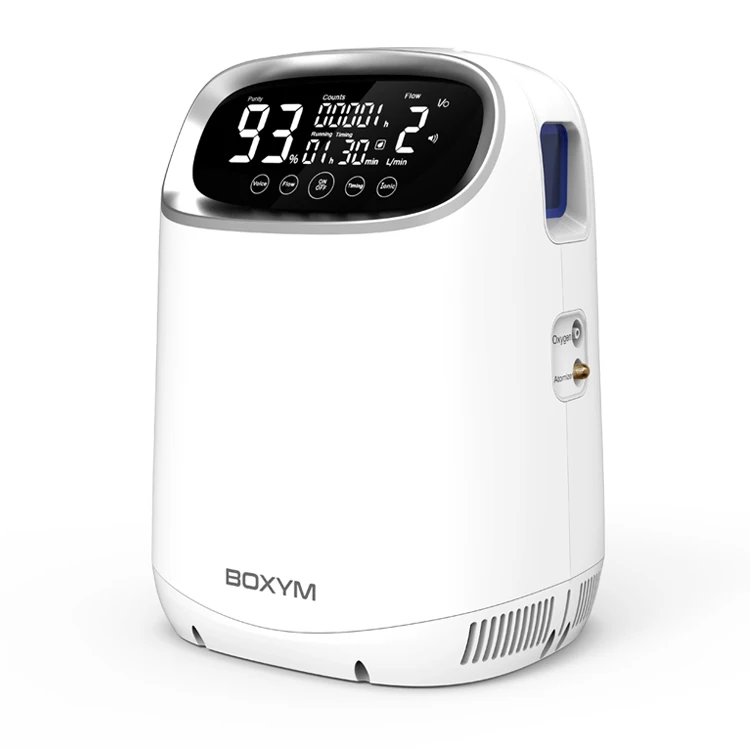 New portable mini medical 2L 93% 110v 220v High Oxigen Concentrator Generator oxygen concentration price