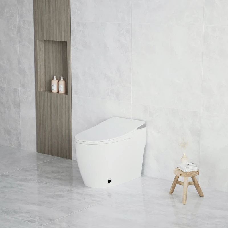 White smart toilet bidet with thin cover heated seat cold and hot water SPA intelligent toilet bidet