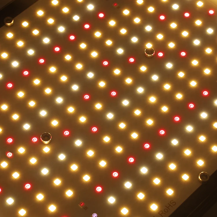 EU Stock, Free Tax !  KingBrite 240W Samusng LM301H EVO LED Grow Lights Full Spectrum with Meanwell Driver