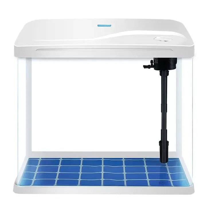 Rushed Glass Wall Fish Tank Aquarium Stocked Aquarium Fish Tank Lights Stocked Glass Tank Aquarium
