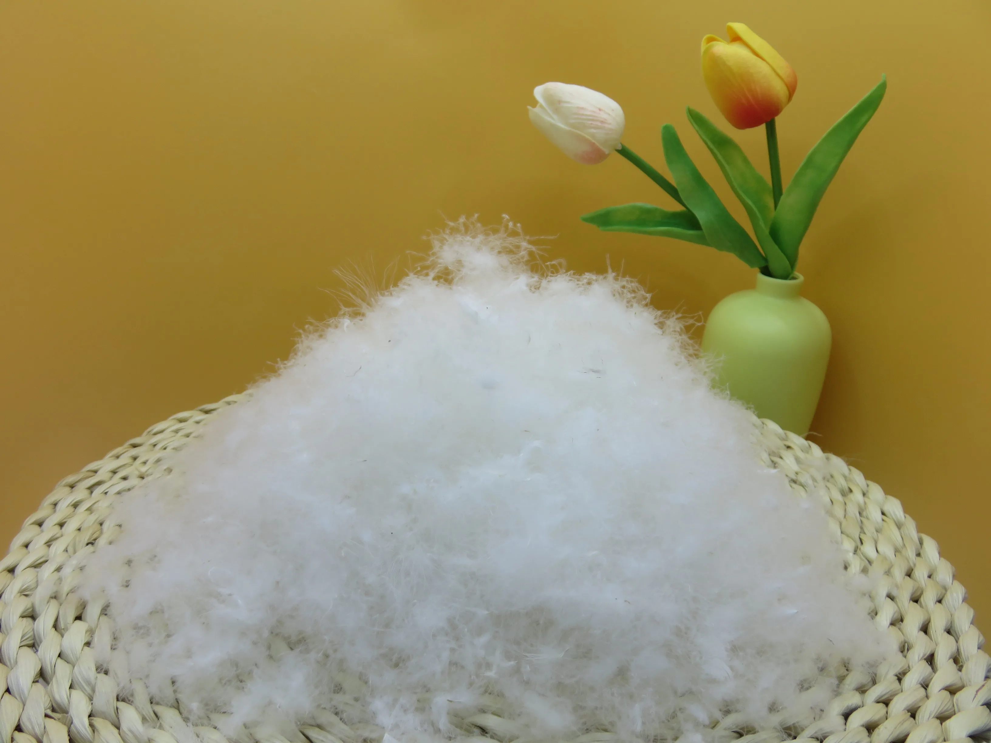 80% white goose down  feather