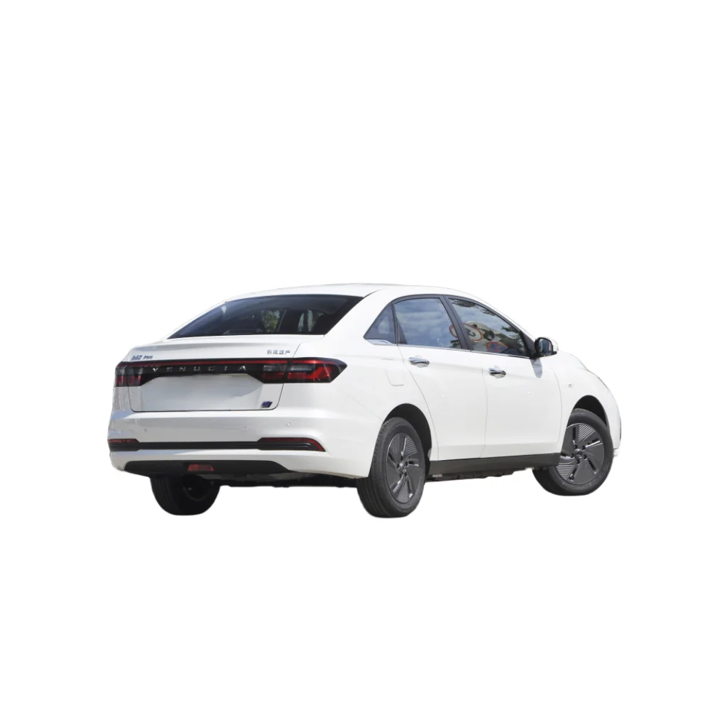 2024 Dongfeng Nissan Venucia D60 EV Range 420km 450km Electric Car dongfeng cheap cars