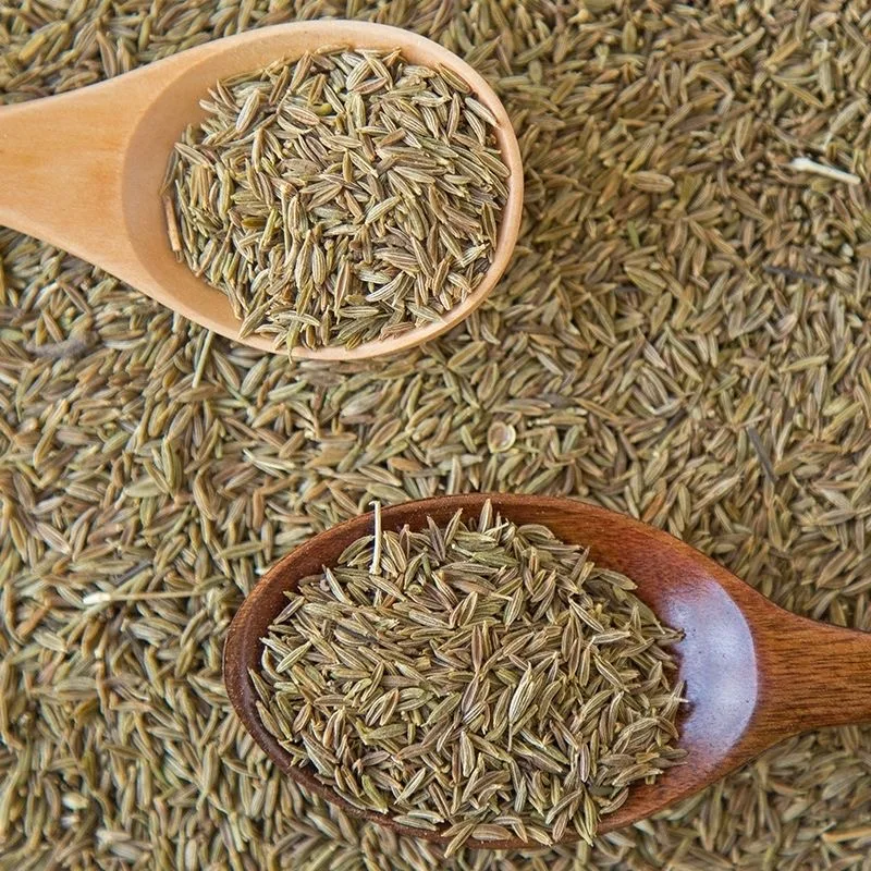 Yulin Yingkai Price Natural Cumin Seeds India Single Spice and Herb Cumin seeds purchased from manufacturers in India