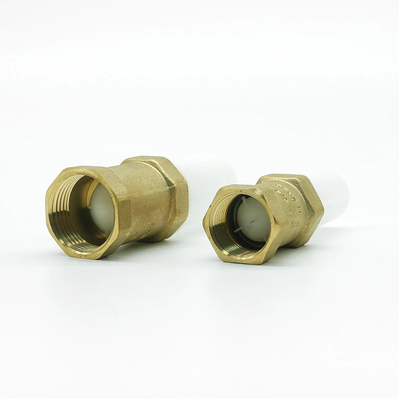 BT5003 high quality brass vertical spring check valve