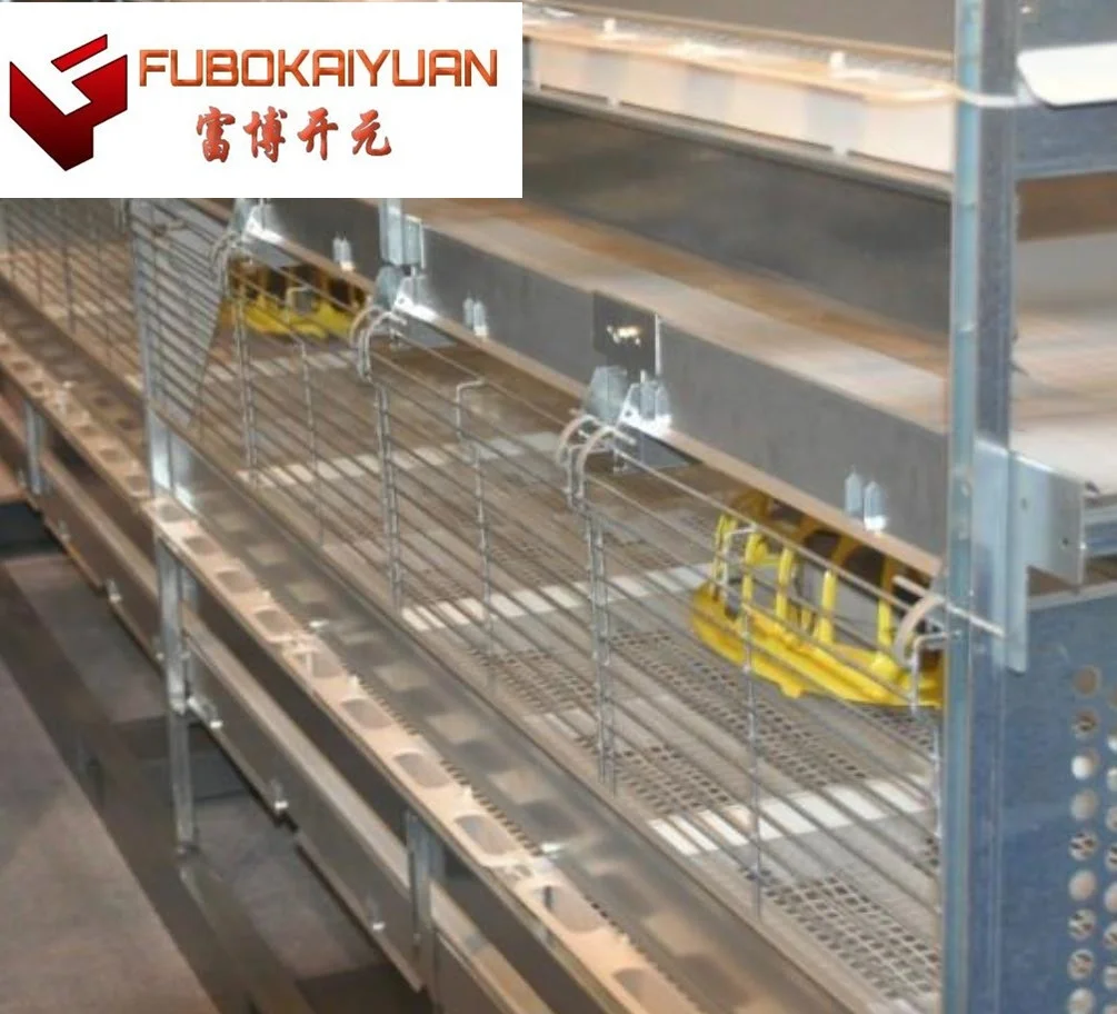 Animal Husbandry Chicken Cage Equipment for Africa Poultry Farm