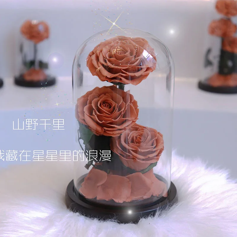 Wholesale Eternal 3 Beauty Rose Valentine Gifts Glass Dome Flower Preserved Rose in Glass Gift Box Valentine Custom Logo