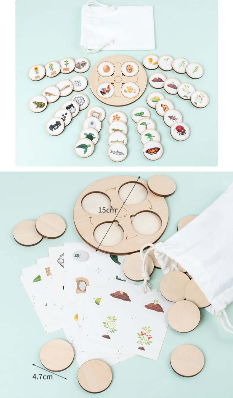 2024 Hot Sale Simulation Insect Animal Model Wooden Toy Zoology Biology Animal Life Growth Cycle Wooden Life Cycle Tray