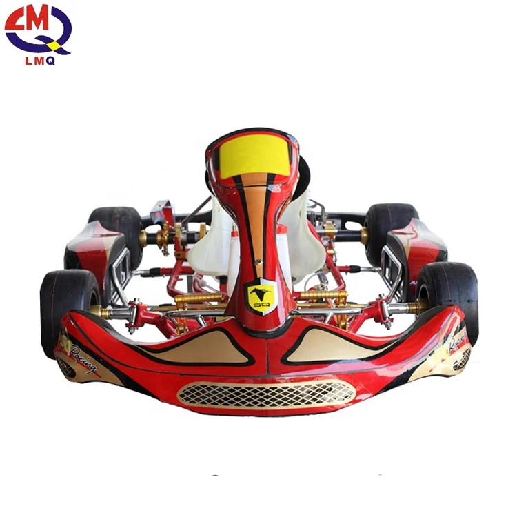 Crazy adult racing kart cars exciting fun electric power go kart
