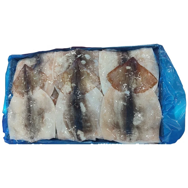 Japanese seafood squid fillet for restaurant Illex squid