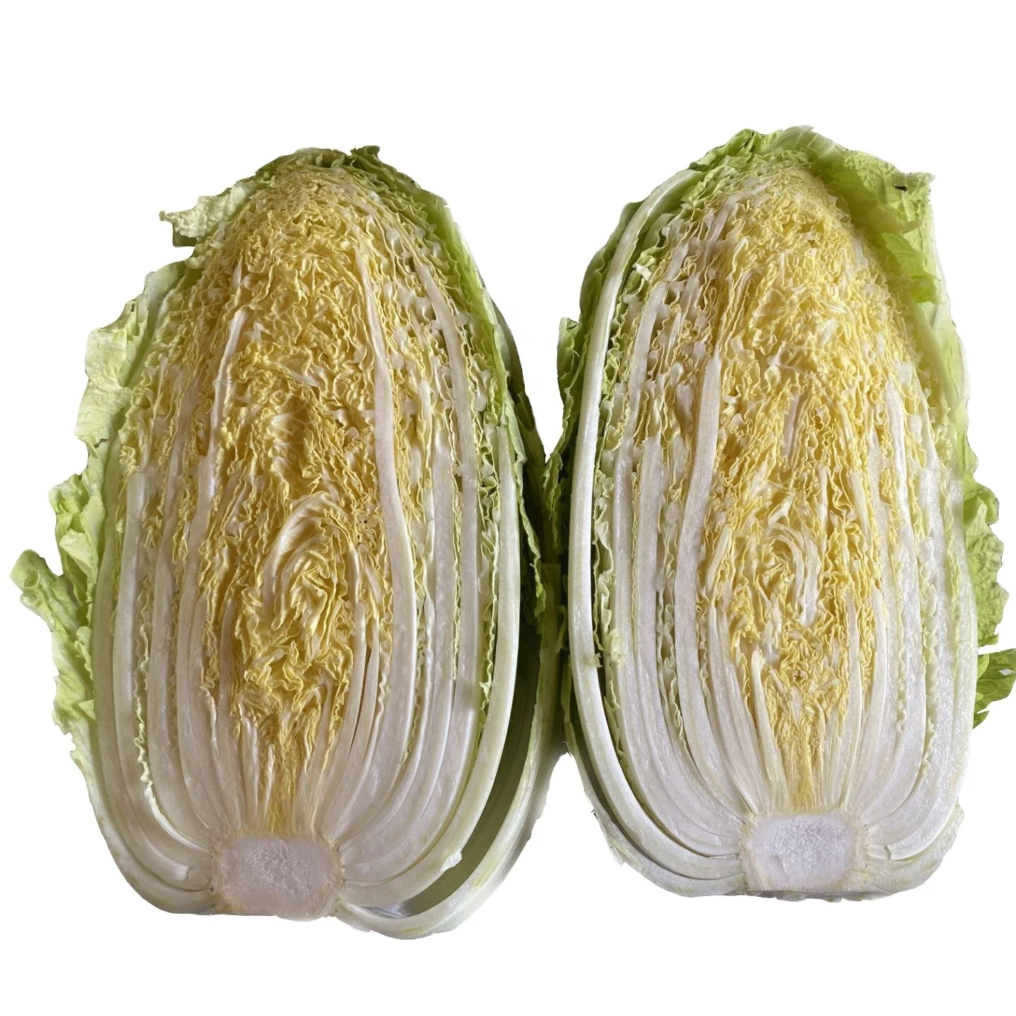 2022 Chinese Fresh cabbage from china