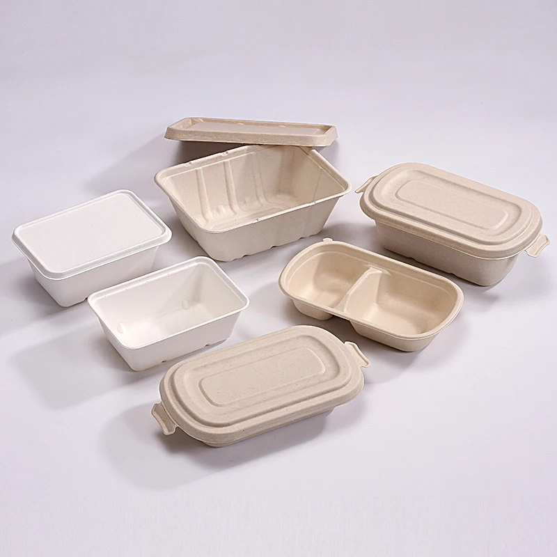 Eco friendly disposable bagasse dinnerware sets biodegradable packaging for food