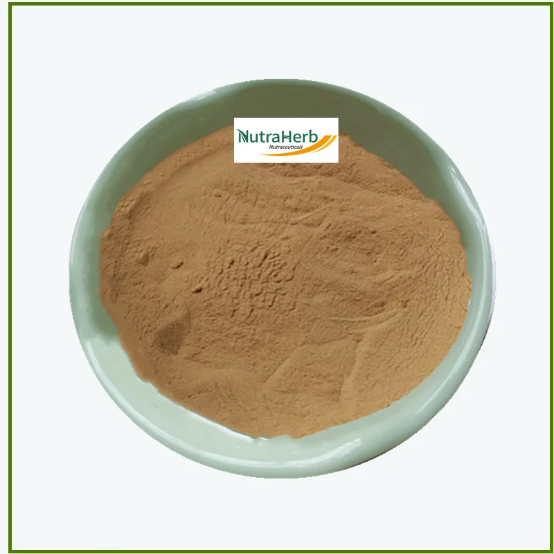 Natural Bacopasides Triterpene Saponins Extract 20% 40% Bacopa Monnieri Extract Powder for Supplements