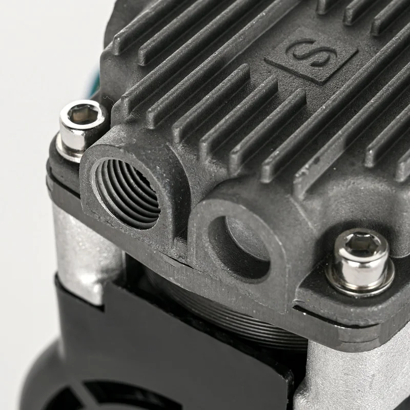 High quality air compressor 12 volts 100W low noise air compressor for oxygen concentrator equipment