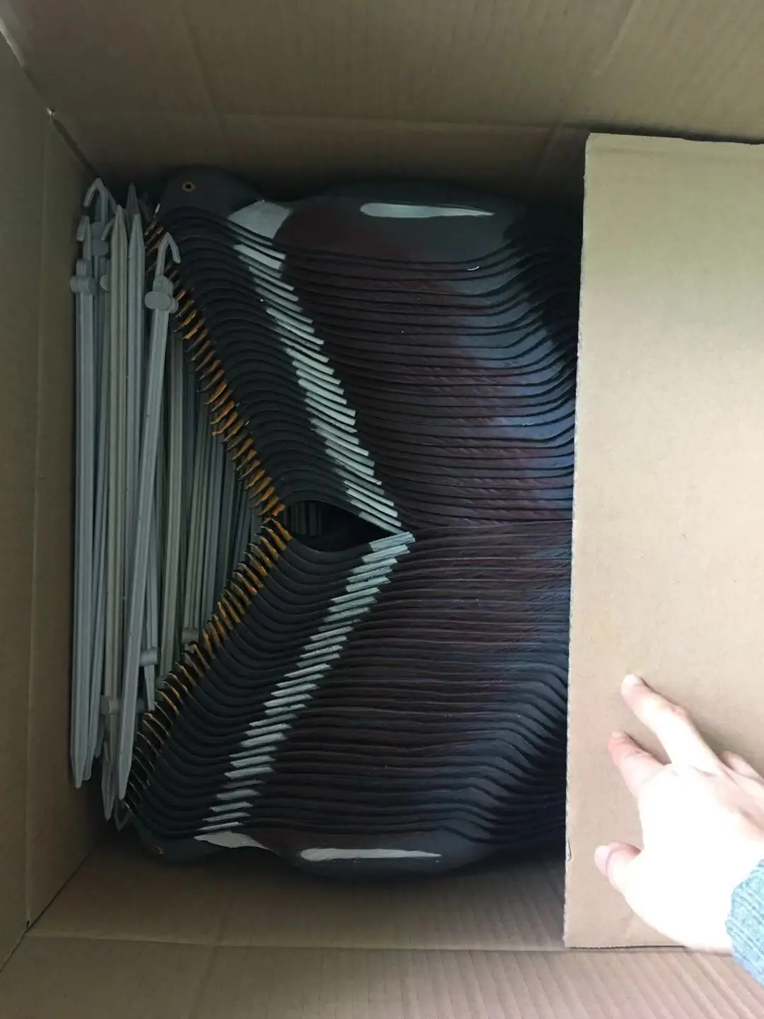 
Customized personality pigeon hunting decoys 