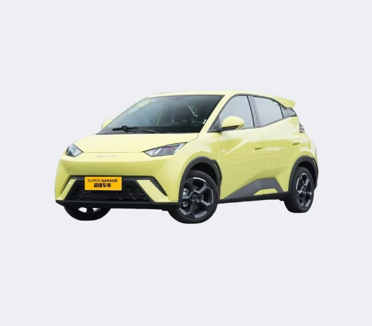 Оптовая продажа 2024 Электромобиль 4-местный аккумулятор хэтчбека для автомобиля BYD
