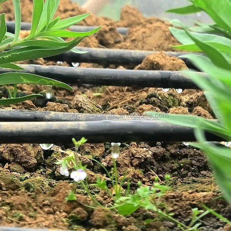 1 Hectare drip irrigation system Free Design Flat tape drip Irrigation System Agriculture Farm Irrigation drip tape