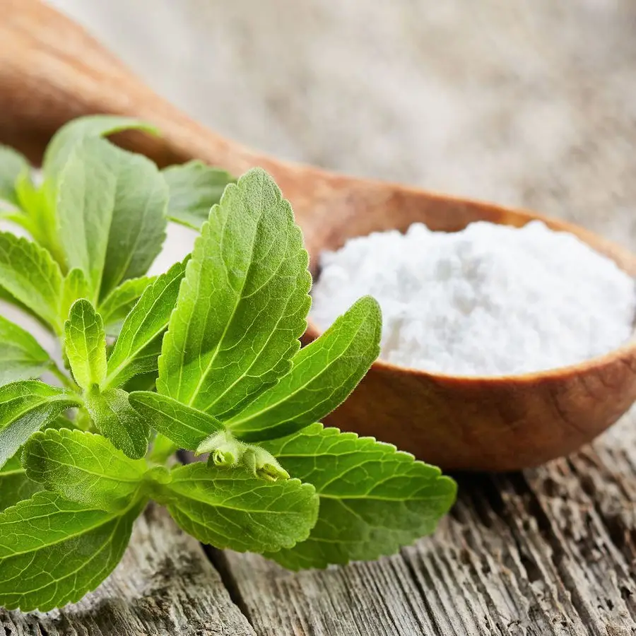 Wholesale Organic Fruit Monk Fruit Extract Powder Fructose Monk Fruit Powder