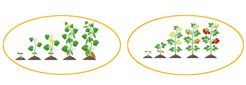 plant grow light.png