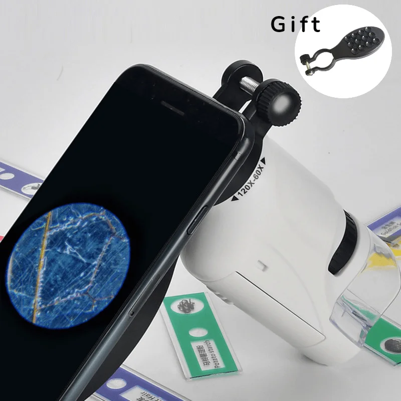 Handheld Microscope Kit Lab LED Light 60X-120X Home School Biological Science Educational Toys For Children Gift