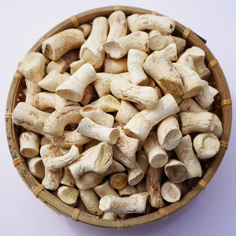 Excellent Quality Premium Stem Treated Dehydrated Mushroom champignon root
