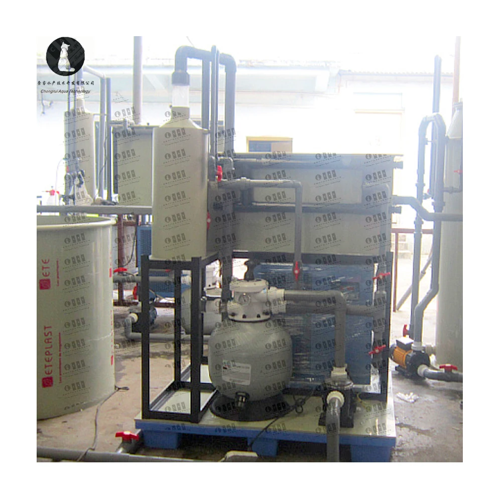 Sea water Recirculating Aquaculture Systems Modern Agriculture Fish Farming