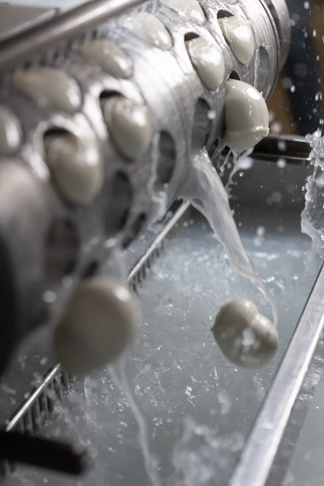 Made In Italy Delicate And Sweet Taste Natural Fermented Mozzarella Cheese 26 Days Shelf Life