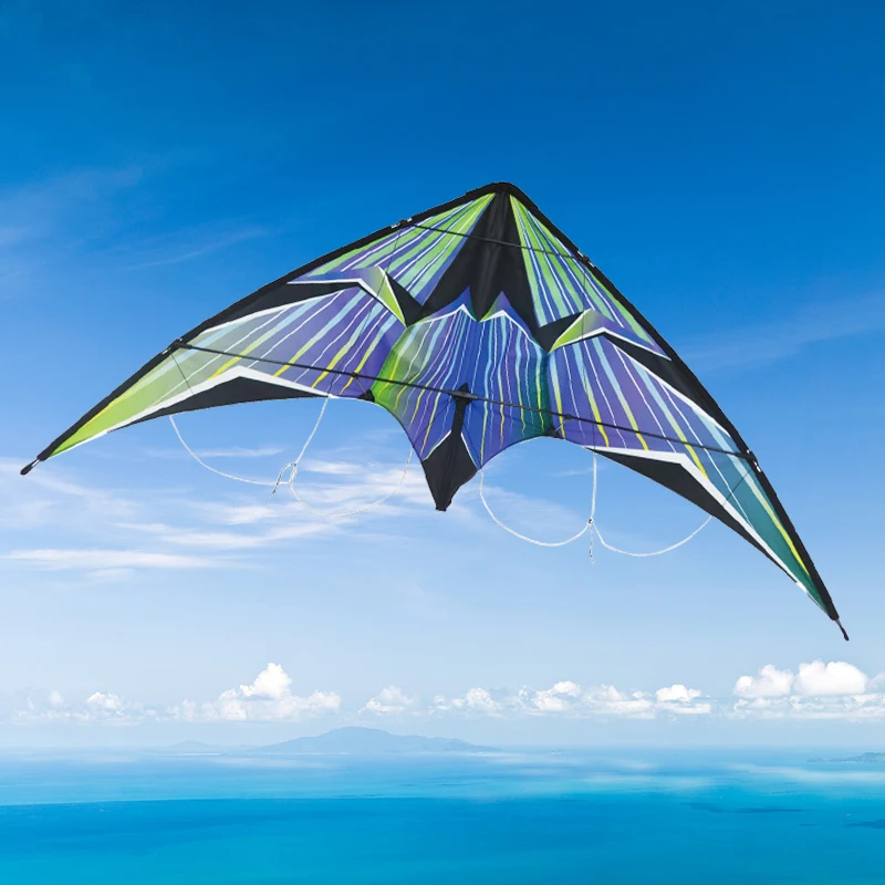 parafoil kite manufacturers wholesale dual line kite custom delta shape large shark kite