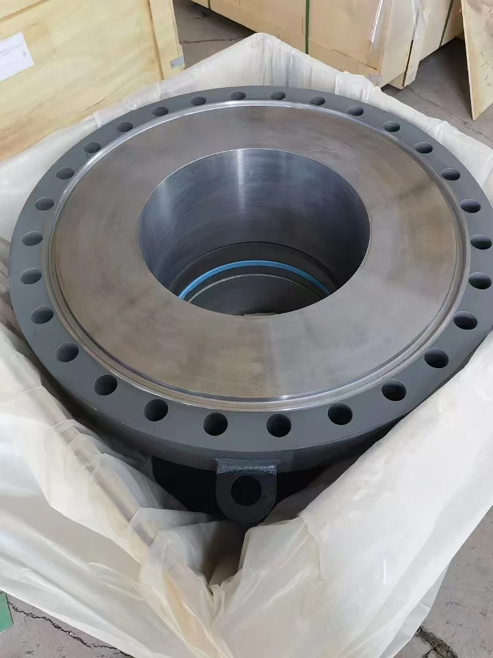 EN1092-1 MS CS  Flange with lifting eye
