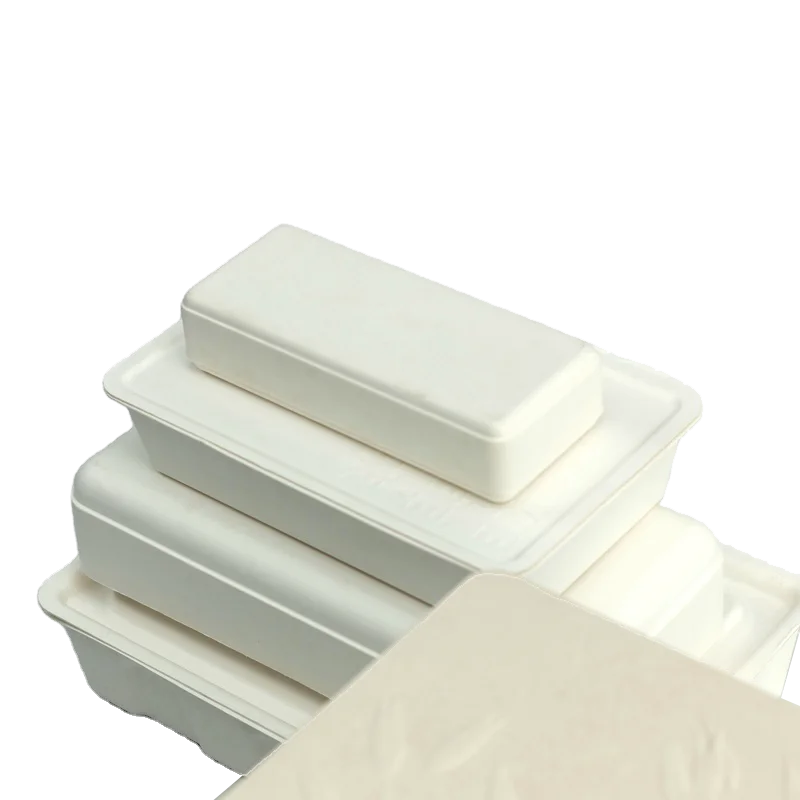 Diffuser Skin Care Products Paper Box Packaging Molded Pulp Burger