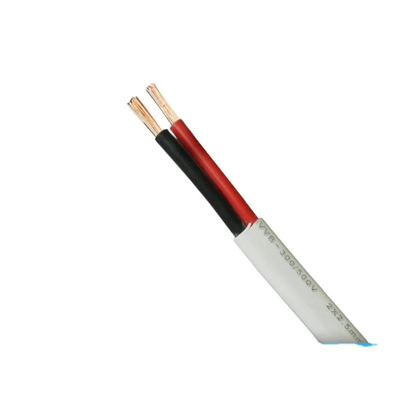 Customize BVVB 12/2 10/2 W/G TPS Flat Twin and Earth Cable Wire FTP 2.5mm Electrical Copper Wire