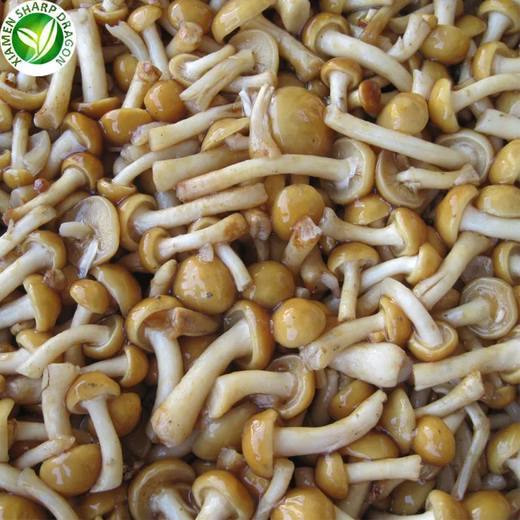 Замороженные грибы плавертус ostreatus для здорового питания IQF