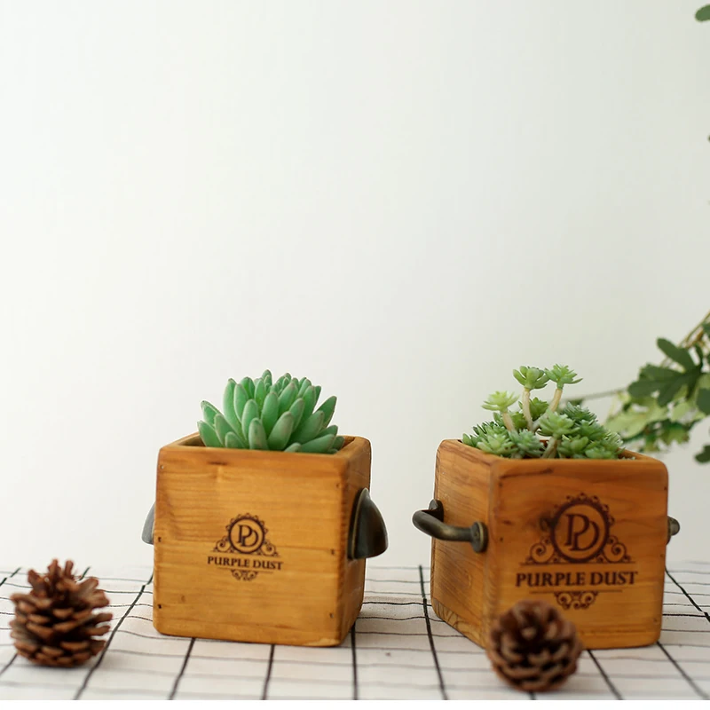Деревянный Trug с ручкой для растений-суккулентов, деревянная коробка