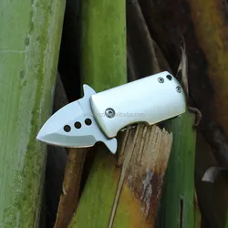 Engraved Mini Stainless Steel Wallet Clip EDC Pocket Folding Knife with Aluminium Handle