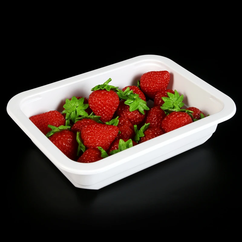 700ml Food Grade Blister PP Disposable Frozen Meat Packaging Food Plastic Tray