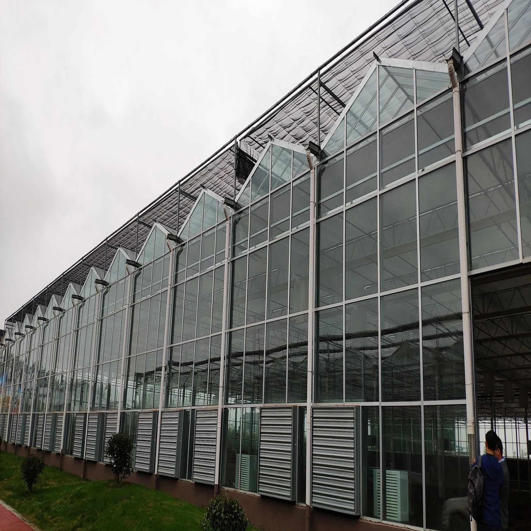 Automated Vertical Hydroponic Growing System Agriculture Equipment Used Smart Glass Greenhouses