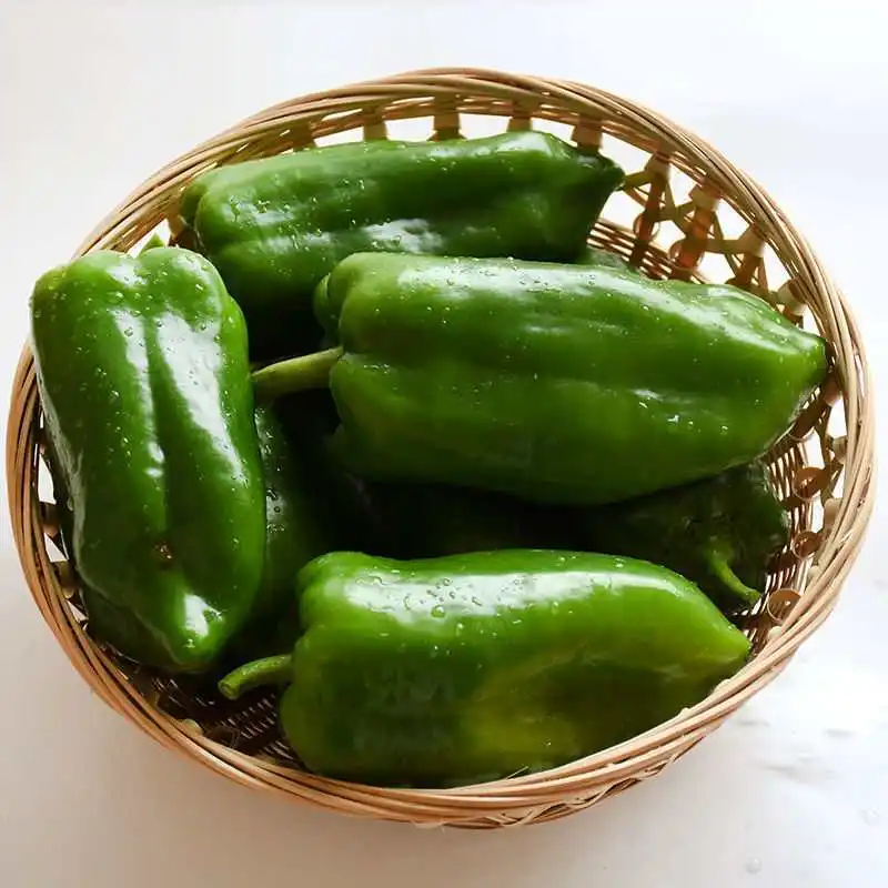 Food grade ISO and HACCP fresh chilli of green capsicum
