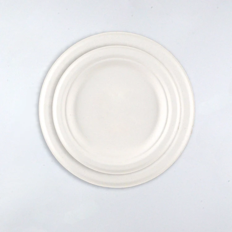 Free Sample Compostable Biodegradable Disposable Desechable 9 10 Sugarcane Sugar Cane Bagasse Party Dinner Plate Dish