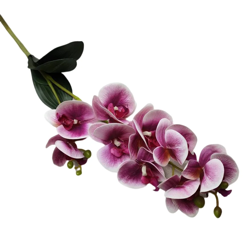 Decorative Flower Artificial Orchids Phalaenopsis Bridal 3D Printing 9 Heads Looks Real With Leaves And Stem