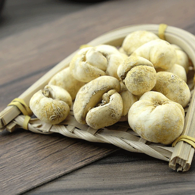 
Zhe Bei Wholesale Hot Sale High Quality Beat Price Healthy Bulb of Thunberg Fritillary 