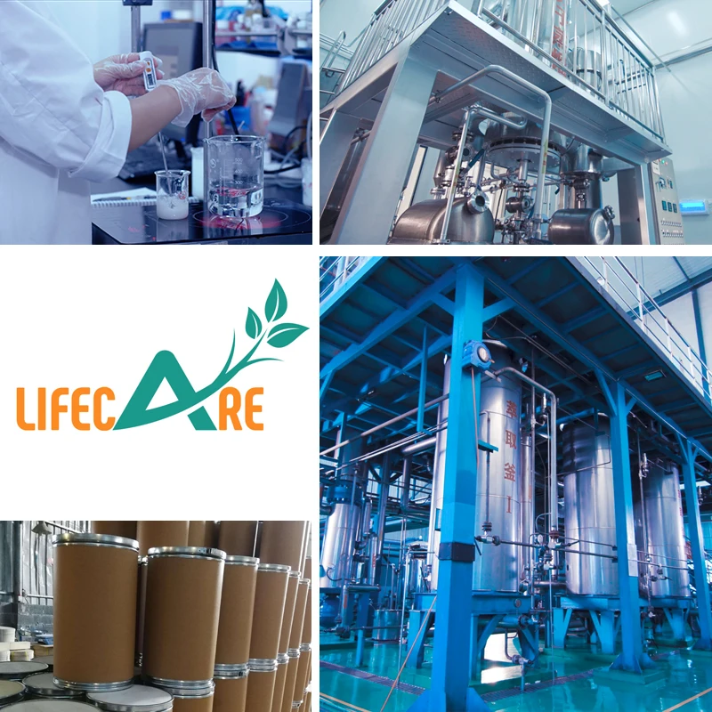 100% Pure and Natural High Quality Branded Probiotics Lactobacillus Buchneri In