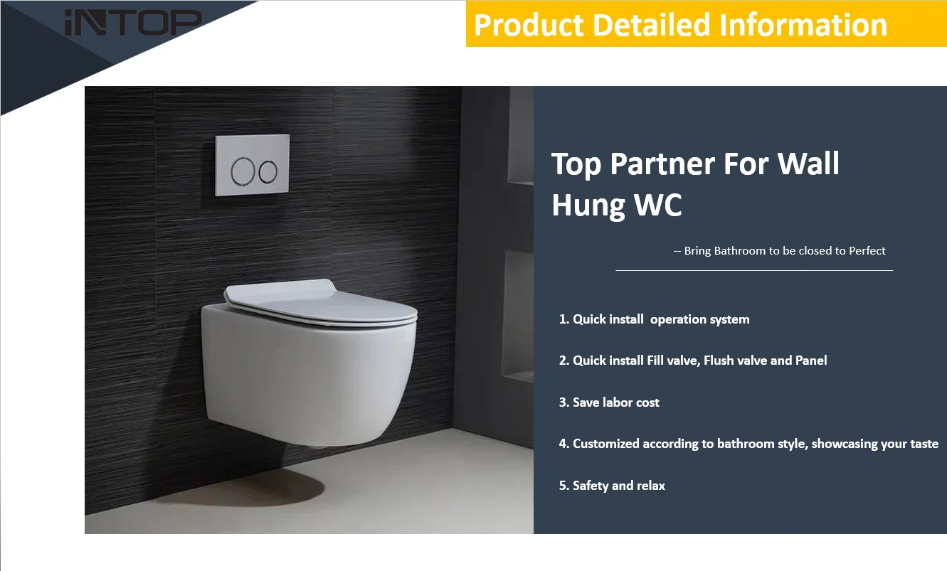 Factory Direct Price Dual Flush Toilet Push Button Panel Plate for Concealed Cistern  ABS Panel Different Colors Available
