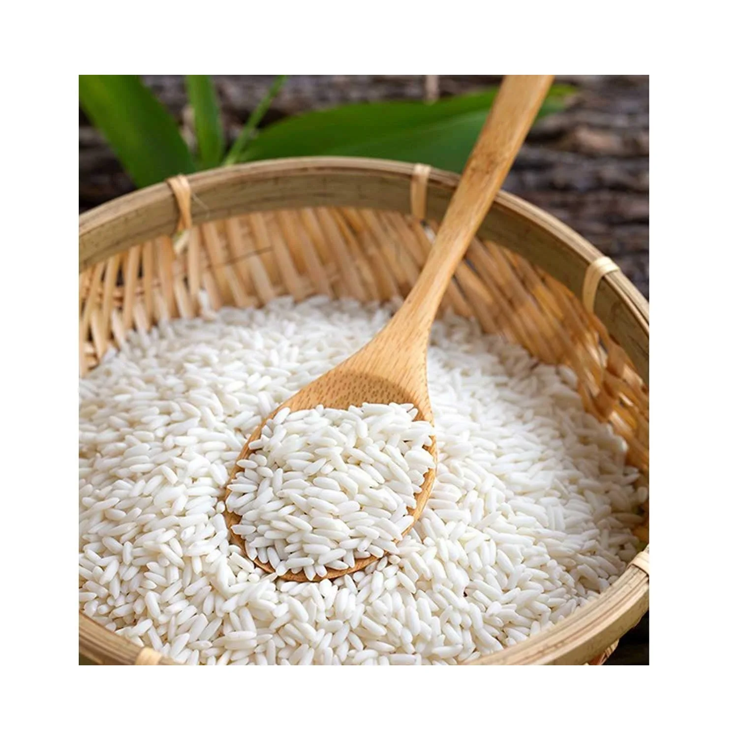 [HOT DEALS] White Glutinous Rice White Rice 5% broken From VietNam (Thai Lien Company , Ms Phuong : +84789196389 )