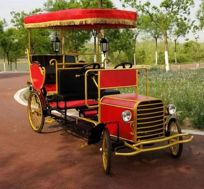 China factory 500w/750w/800w/1000w electric rickshaw tricycle surrey bike 4 seats