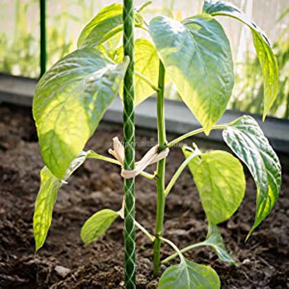 Fiberglass Vegetable Garden Twister Plant Supports by Pointed Rods