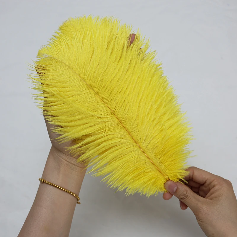 Wholesale Factory Wine Red Ostrich Feathers 50PCS 25-30cm Feathers for Home Decor Carnival Costumes Wedding Parties