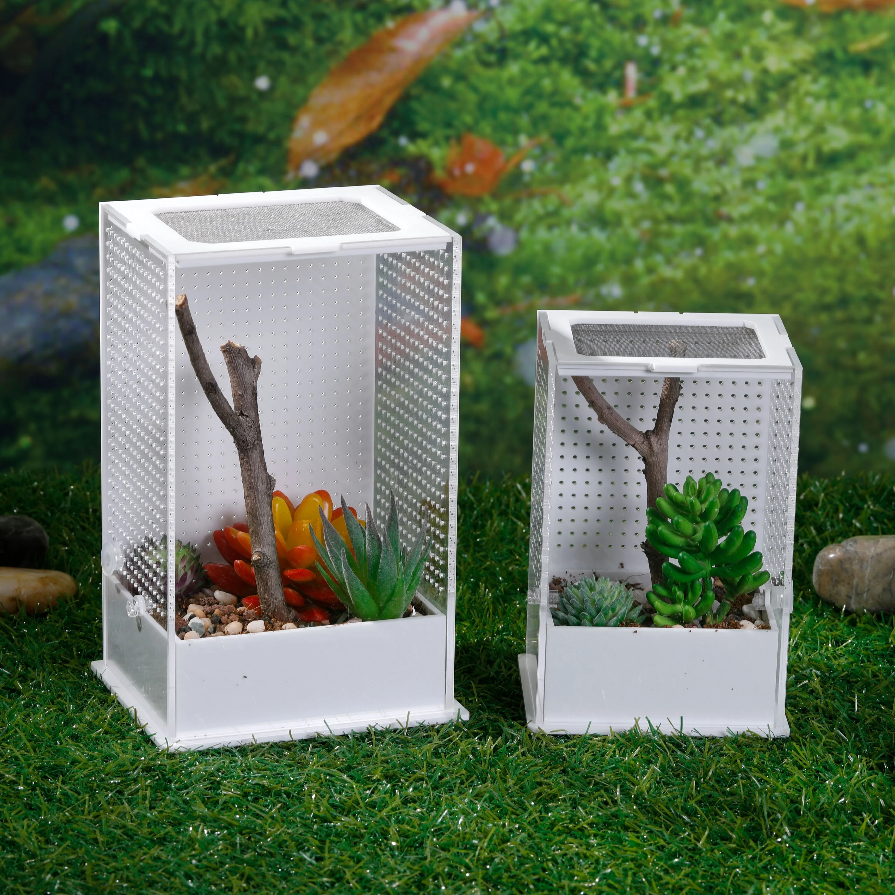 Innovative Sturdy Acrylic Habitat Feeding Box Tank Zoo Show Display Cases for Mantis Spiders and Small Reptiles Insects